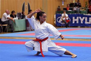 seibukan_Austrian_Junior_Open_2010_017.jpg