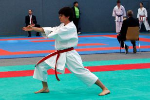 seibukan_Austrian_Karate_Champions_Cup_2010_015.jpg