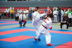 seibukan_Austrian_Karate_Championscup_2015_084.jpg