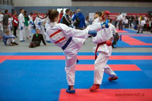 seibukan_Austrian_Karate_Championscup_2015_100.jpg