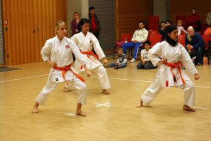 seibukan_Bushido_Nachwuchscup_2009_020.jpg