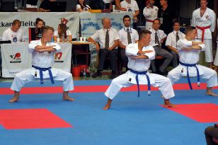 seibukan_Goju_Ryu_EM_Heilbronn_2014_097.jpg