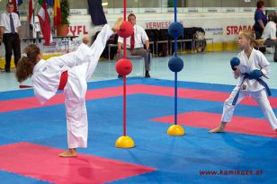 seibukan_Intern_Huegelland_Cup_2012_079.jpg