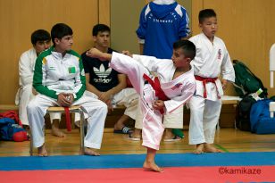 seibukan_Junior_Open_2016_039.jpg