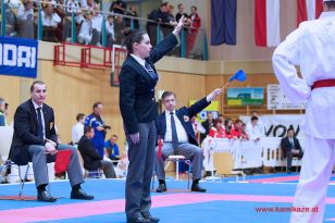 seibukan_Karate1_Premier_League_and_Youth_World Cup_Salzburg_2013_057.jpg