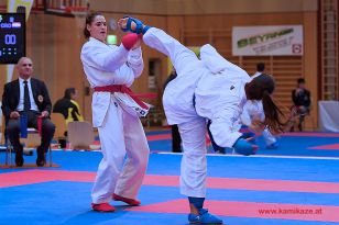 seibukan_Karate1_Premier_League_and_Youth_World Cup_Salzburg_2013_142.jpg