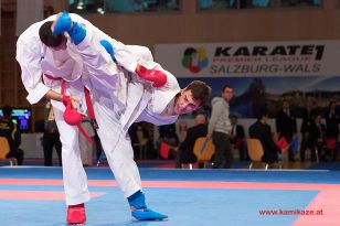 seibukan_Karate1_Premier_League_and_Youth_World Cup_Salzburg_2013_188.jpg