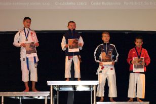 seibukan_Karate_Kids_Cup_Budweis_2014_006.jpg