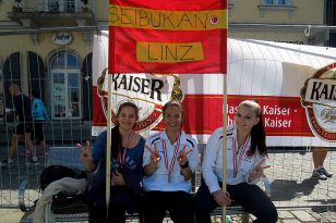 seibukan_Linz_Maraton_2015_033.jpg