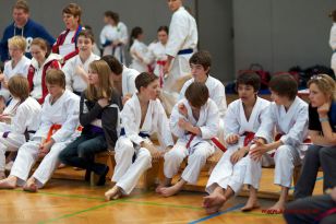 seibukan_OOE_LM_U10_U21_Senioren_Linz_Auhof_2012_072.jpg