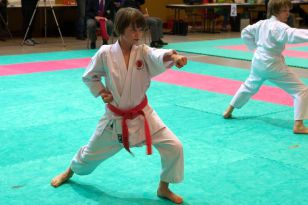 seibukan_Oesterr_Shotokan_Meisterschaft_2011_009.jpg