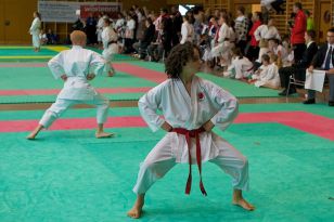 seibukan_Oesterr_Shotokan_Meisterschaft_2011_014.jpg