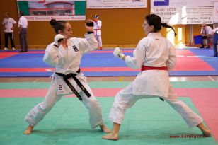 seibukan_Oesterr_Shotokan_Meisterschaft_StGeorgen_2012_038.jpg