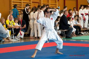 seibukan_Oesterr_Shotokan_Meisterschaft_StGeorgen_2014_016.jpg