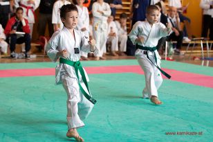 seibukan_Oesterr_Shotokan_Meisterschaft_StGeorgen_2014_039.jpg