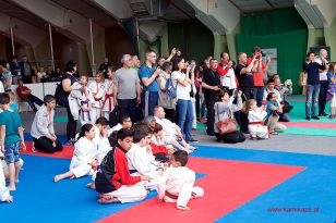 seibukan_Oesterr_Shotokan_Meisterschaft_StGeorgen_2015_041.jpg