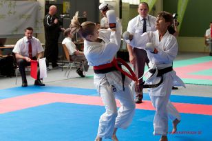 seibukan_Oesterr_Shotokan_Meisterschaft_StGeorgen_2015_123.jpg