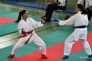 seibukan_Oesterreichische_Goju_Ryo_Shito_Ryu_Meisterschaft_Wien_2014_011.jpg