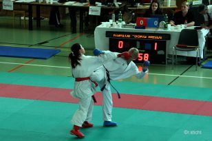 seibukan_Oesterreichische_Goju_Ryo_Shito_Ryu_Meisterschaft_Wien_2014_017.jpg