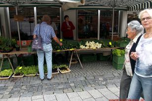 seibukan_Ravensburg_2014_069.jpg