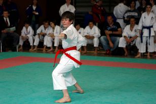 seibukan_Shotokan_Cup_2010_007.jpg