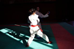 seibukan_Shotokan_Cup_2010_057.jpg