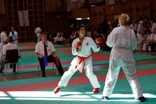 seibukan_Shotokan_Cup_2010_059.jpg