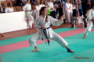 seibukan_Shotokan_OEM_2016_032.jpg