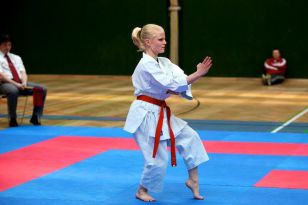 seibukan_Styrian_Open_Fuerstenfeld_2011_054.jpg