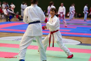 seibukan_Styrian_Open_Fuerstenfeld_2013_036.jpg