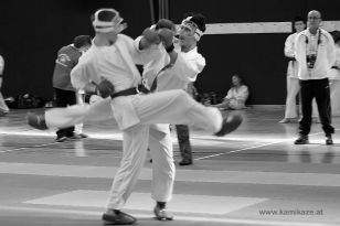 seibukan_Styrian_Open_Fuerstenfeld_2014_049.jpg