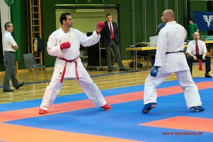 seibukan_Styrian_Open_Fuerstenfeld_2014_101.jpg