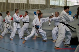 seibukan_Trainerfortbildung_2016_054.jpg