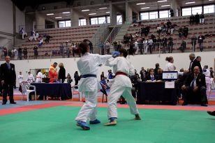 seibukan_World_Karate_Championship_italien_2016_051.jpg