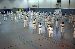 seibukan_3_Int_Karate_Sommercamp_Ravensburg_2015_032.jpg