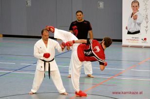 seibukan_3_Int_Karate_Sommercamp_Ravensburg_2015_034.jpg