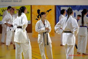 seibukan_8_Int_Kamikaze_Karate_Sommercamp_Neuhofen_2016_013.jpg