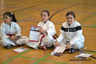 seibukan_Askoe_Landesmeisterschaft_Linz_Auhof_2011_023.jpg