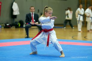 seibukan_Askoe_OOEKarate_Landesmeisterschaft_2013_012.jpg