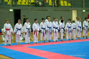 seibukan_Askoe_OOEKarate_Landesmeisterschaft_2013_024.jpg