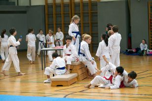 seibukan_Askoe_OOEKarate_Landesmeisterschaft_2013_093.jpg