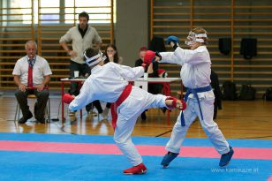 seibukan_Askoe_OOEKarate_Landesmeisterschaft_2013_153.jpg