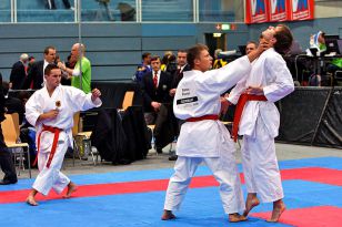 seibukan_Austrian_Karate_Champions_Cup_2010_093.jpg