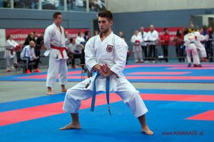 seibukan_Austrian_Karate_Championscup_2015_071.jpg