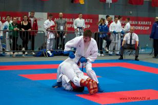 seibukan_Austrian_Karate_Championscup_2015_138.jpg