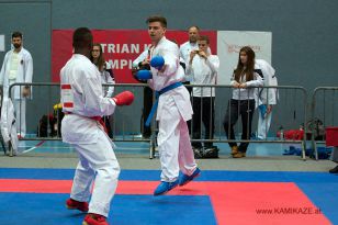 seibukan_Austrian_Karate_Championscup_2015_168.jpg