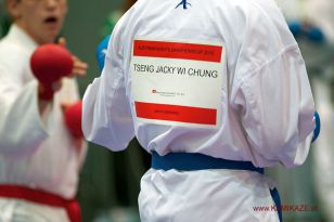 seibukan_Austrian_Karate_Championscup_2015_176.jpg