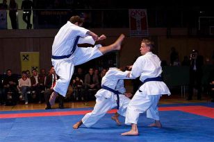 seibukan_Austrian_Open_Golden_League_2009_043.jpg