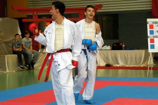 seibukan_Goju_Ryu_EM_Heilbronn_2014_030.jpg