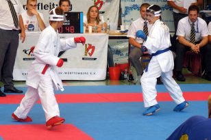 seibukan_Goju_Ryu_EM_Heilbronn_2014_101.jpg